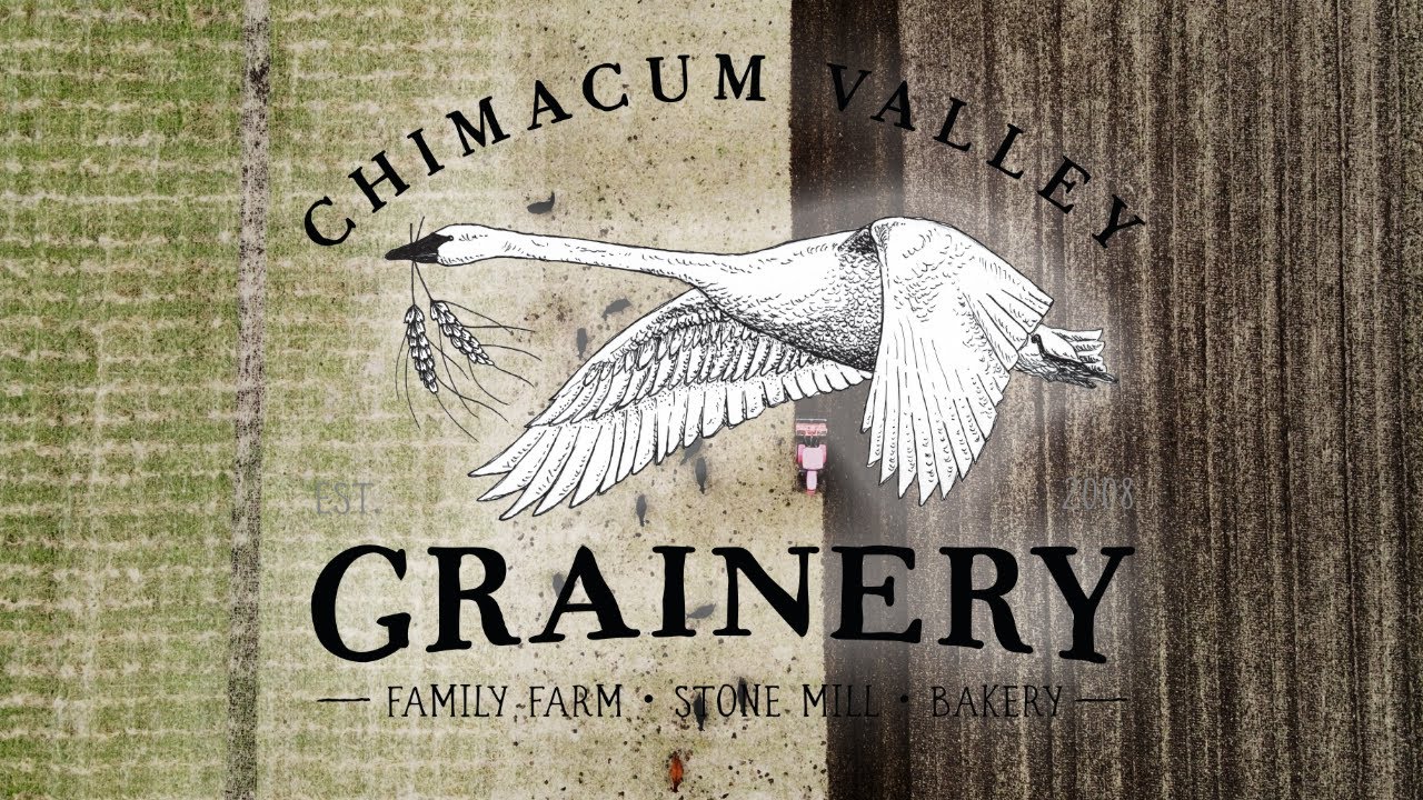 Chimacum Vally Grainery Logo of a flying goose with a stem of gain grass in the beak and a field with tractor below